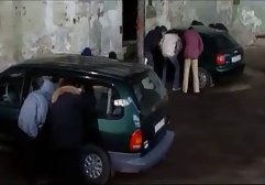 گربه جوان شیرین برای فیلم سوپر خارجی با دوبله فارسی چارلی چیس